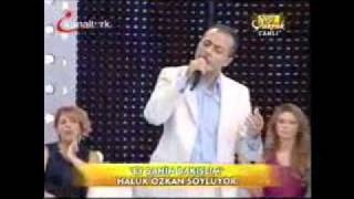 EY SAHIN BAKISLIM -Haluk ÖZKAN Resimi