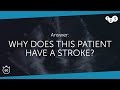 60 Seconds of Echo Teaching Answer: Why did this patient have a stroke?