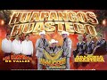 Los Camperos de Valles, Trío Halcon Huasteco, Armonía Huasteca Mix | Huapangos Huastecos Legendarios