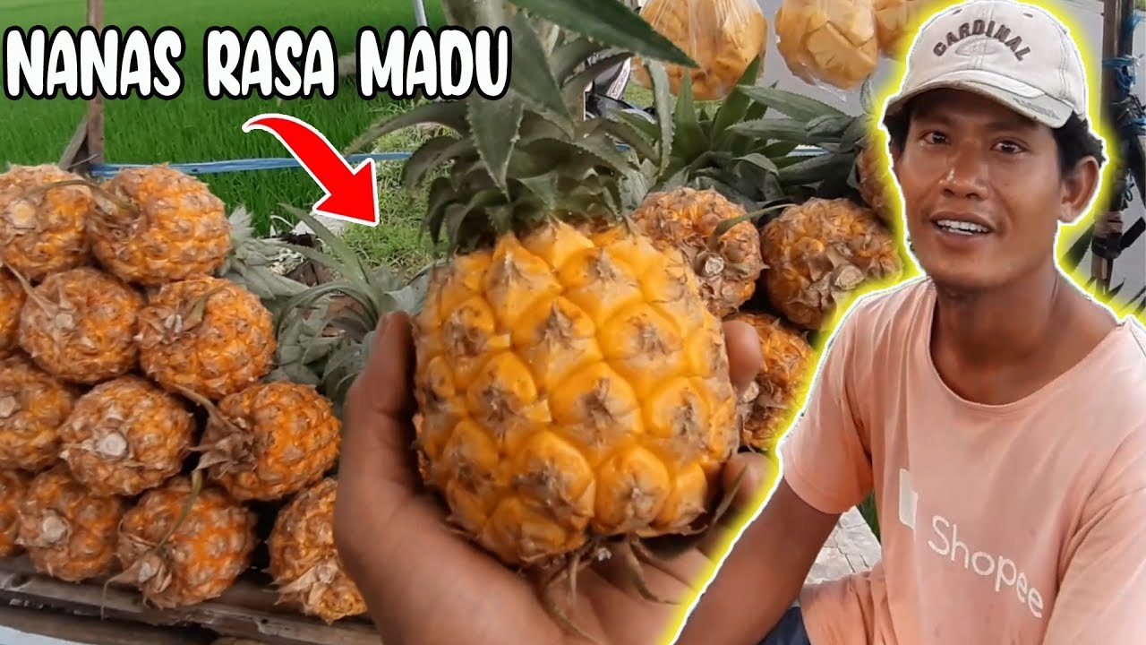 BEDA DARI YANG LAIN !! NANAS RASA MADU !! OLEH-OLEH KHAS PEMALANG