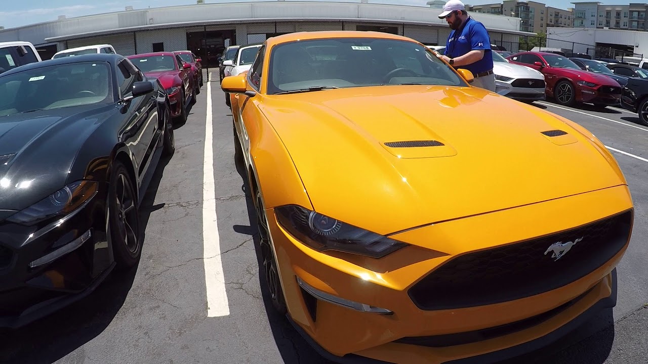 2019 Mustangs at the Dealership - YouTube