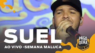 Pagodeira - Suel Ao Vivo - Pout Pourri De Sucessos