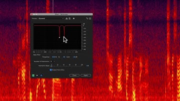 Sound for Video Session: Cleaning Up Background Noise in Audition and RX