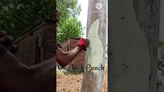 One Inch Punch Tutorial// #challenges #viralreels #target #taekwando #mma #martialarts #tutorial