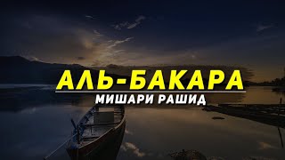 1 ЧАС ОЧЕНЬ КРАСИВОГО ЧТЕНИЯ КОРАНА! СУРА "АЛЬ-БАКАРА" / МИШАРИ РАШИД