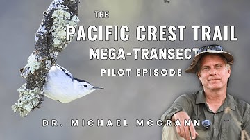 The Trail is Speaking. Are You Listening?  | The PCT Mega-Transect Ep. 1