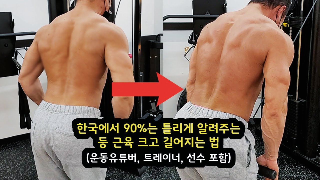 한국 사람들은 등 근육이 잘 안자라는 이유..ㄷㄷ 이걸 모르면 평생 등 운동 헛수고합니다