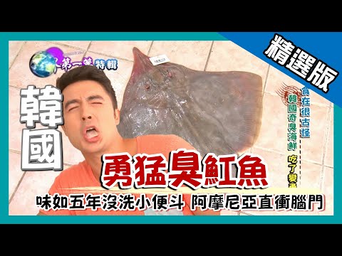 【韓國】臭！ 生魟魚片 威力強過臭豆腐 15 倍｜《世界第一等》671集精華版