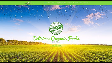 How To Make A PREMIUM eCommerce Website with WordPress | Online Store Tutorial 2016!