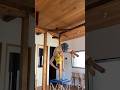 念願の呪術廻戦のご飯出すやつを倒立でお着替えver.で流行りにのれて大満足です💗🤞🏻#呪術廻戦 #rickmethod #handbalancing #coreworkout #倒立