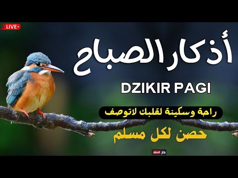 اذكار الصباح بصوت يريح قلبك راحه نفسيه حصن نفسك وبيتك من الشيطان القارئ ماجد الدعوس  