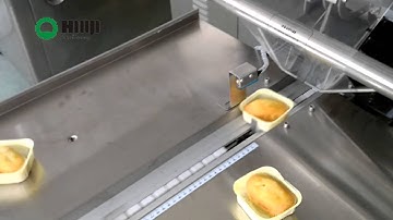 3 servo flow  wrapping machine XDC