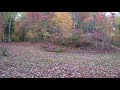 Deer Playing In Water Puddle........&quot;FUNNY&quot;