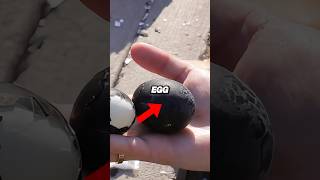Black Eggs In Japan