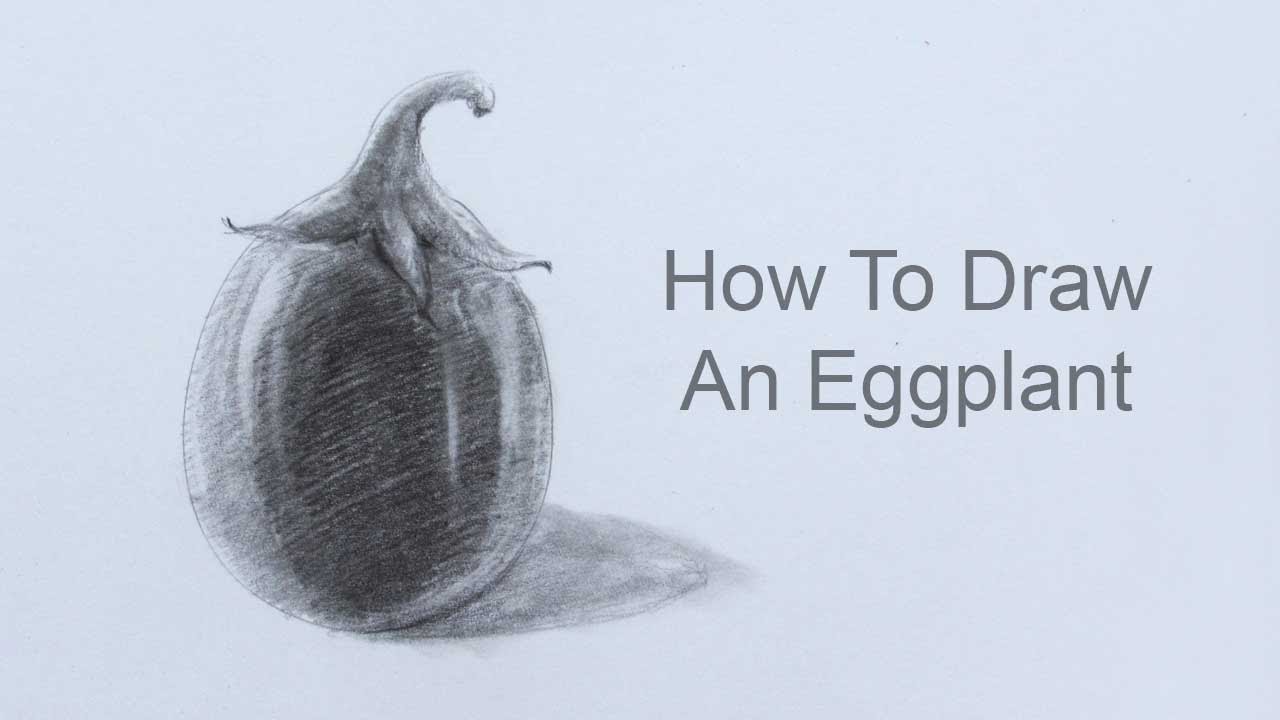 Drawing a brinjal with pencil sketching  Steemit