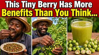 You’ve Seen This Berry—But Do You Know What It Can Do?