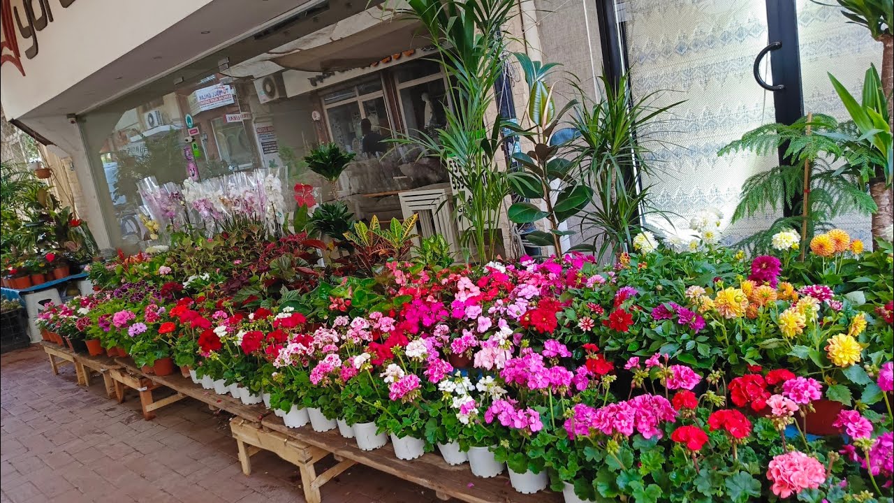 11 Haziran 2025 Aydın Nazilli uzun çarşı kestane Cami üzerinde bebek herşey zera halı modern h yörem