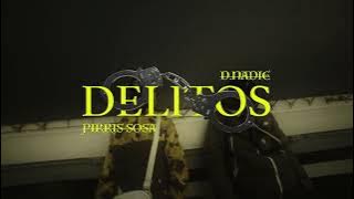 D.NADIE & PIRRIS SOSA - DELITOS