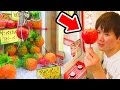 UFOキャッチャーPPAP（Pen-Pineapple-Apple-Pen）ペンパイナッポーアッポーペン／SATOTARO(さと太郎)