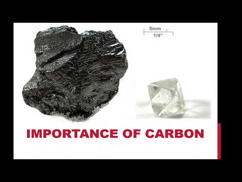11 Biology - Chapter 02 - Lecture 02 - Importance of Carbon
