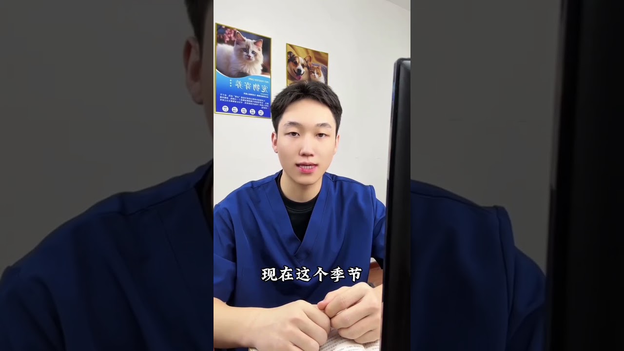 Don't Misunderstand: The Secret Signs Your Dog Uses to Show Love