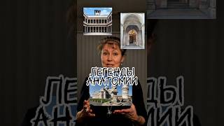 Кем был Андрей Везалий и как его гибель связана с автоматизмом сердца