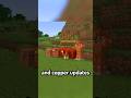 THE NEWEST MINECRAFT UPDATE! #minecraft #shorts