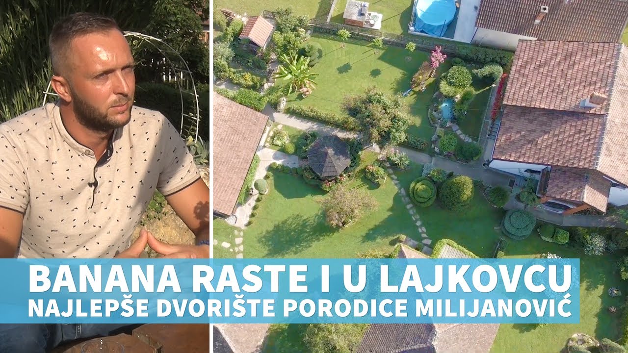 Mali zeleni raj porodice Milijanović