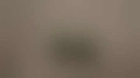 How To Make Exploding Pellets