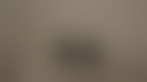 How To Make Exploding Pellets