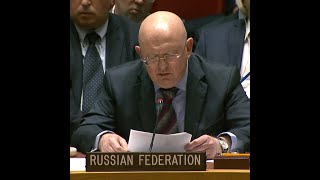 Россию на заседании СБ ООН обвинили в отравлении Сергея Скрипаля