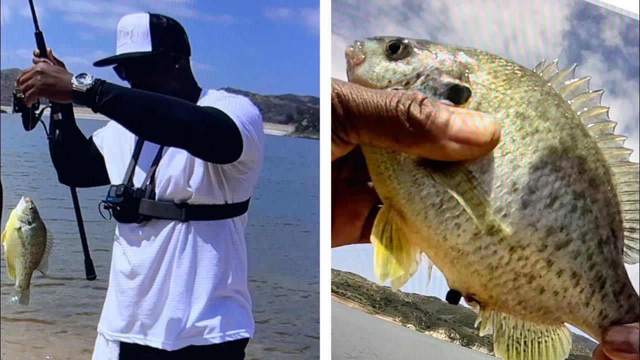 Fishing Irvine Lake For Big Bluegill (Catch, Clean, Cook) / KalKal Deck Boots Review