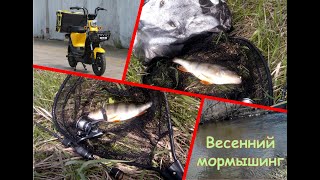 Весенний мормышинг! На электробайке на рыбалку!