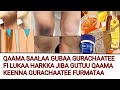 QAAMA SAALAA GUBAA GURACHAATEE FI LUKAA HARKKA JIBA GUTUU QAAMA KEENNA GURACHAATEE FURMATAA