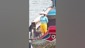 vượt cống ngăn mặn