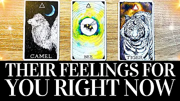 PICK A CARD💓😍 Their FEELINGS For You RIGHT NOW! 😍💓 They want you to know THIS! 🌟 Love Tarot Reading
