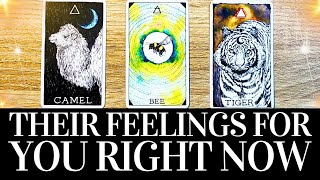 PICK A CARD💓😍 Their FEELINGS For You RIGHT NOW! 😍💓 They want you to know THIS! 🌟 Love Tarot Reading by Vyx Tarot Guidance 8,380 views 3 weeks ago 1 hour, 14 minutes