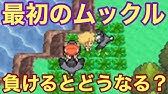 総額250万 別荘の家具を全部買ってシロナを厳選した ポケモンプラチナ Youtube