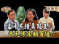 【大尋寶家】當年不懂真假玉!千元佛像翻百倍!?20231004(完整版)