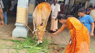 శ్రీకాళహస్తిలో రాహుకేతుకు సంబంధించిన పూజా అయితే చేయించుకున్నాము#templevlog #srikalahasti #devotional