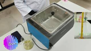 Experiment 6 Isolating DNA
