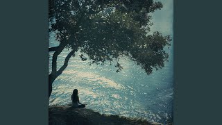 Quiet Reflection Tones