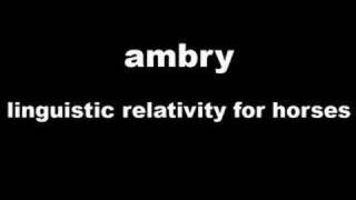 Watch Ambry Linguistic Relativity For Horses video