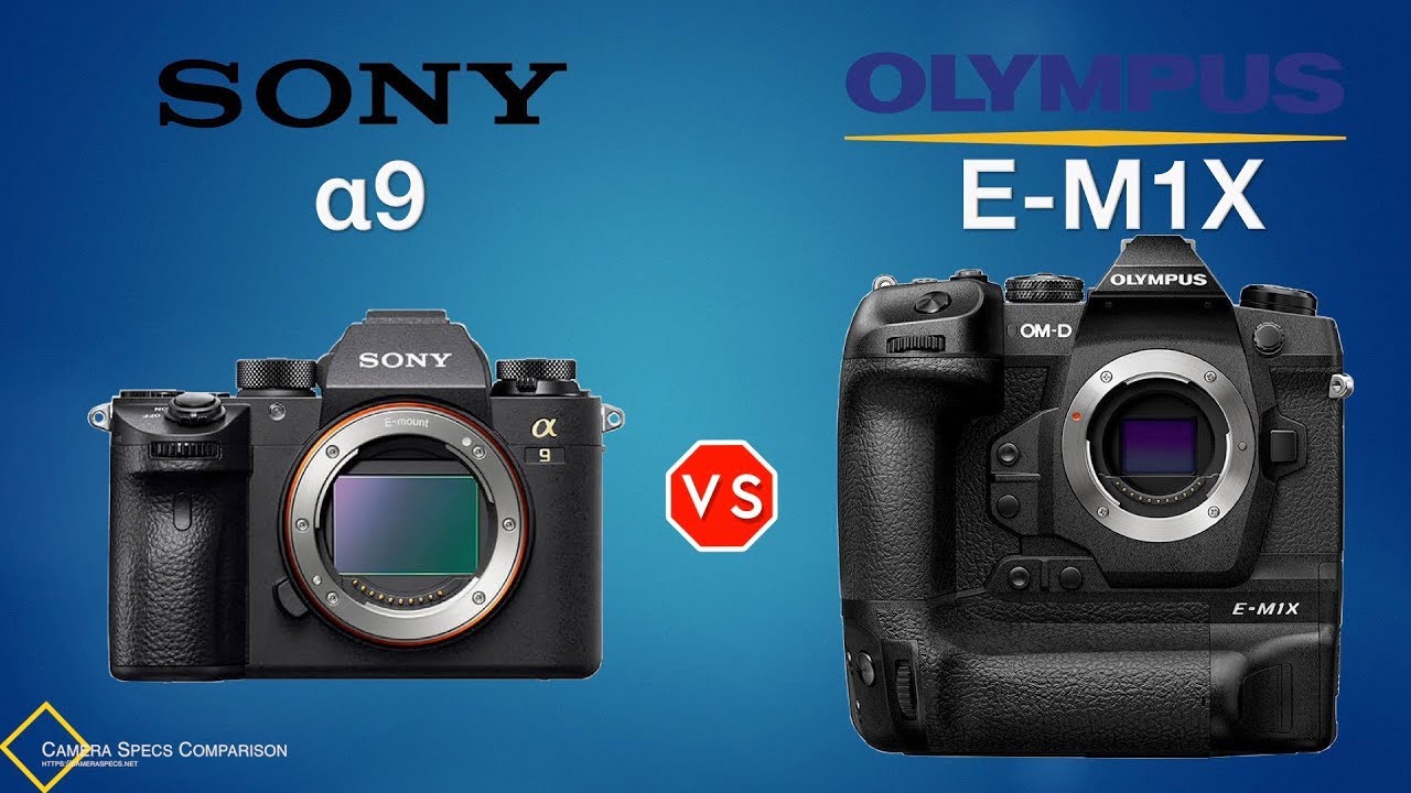 Sony a9 vs Olympus OMD EM1X Camera Specs Comparison YouTube