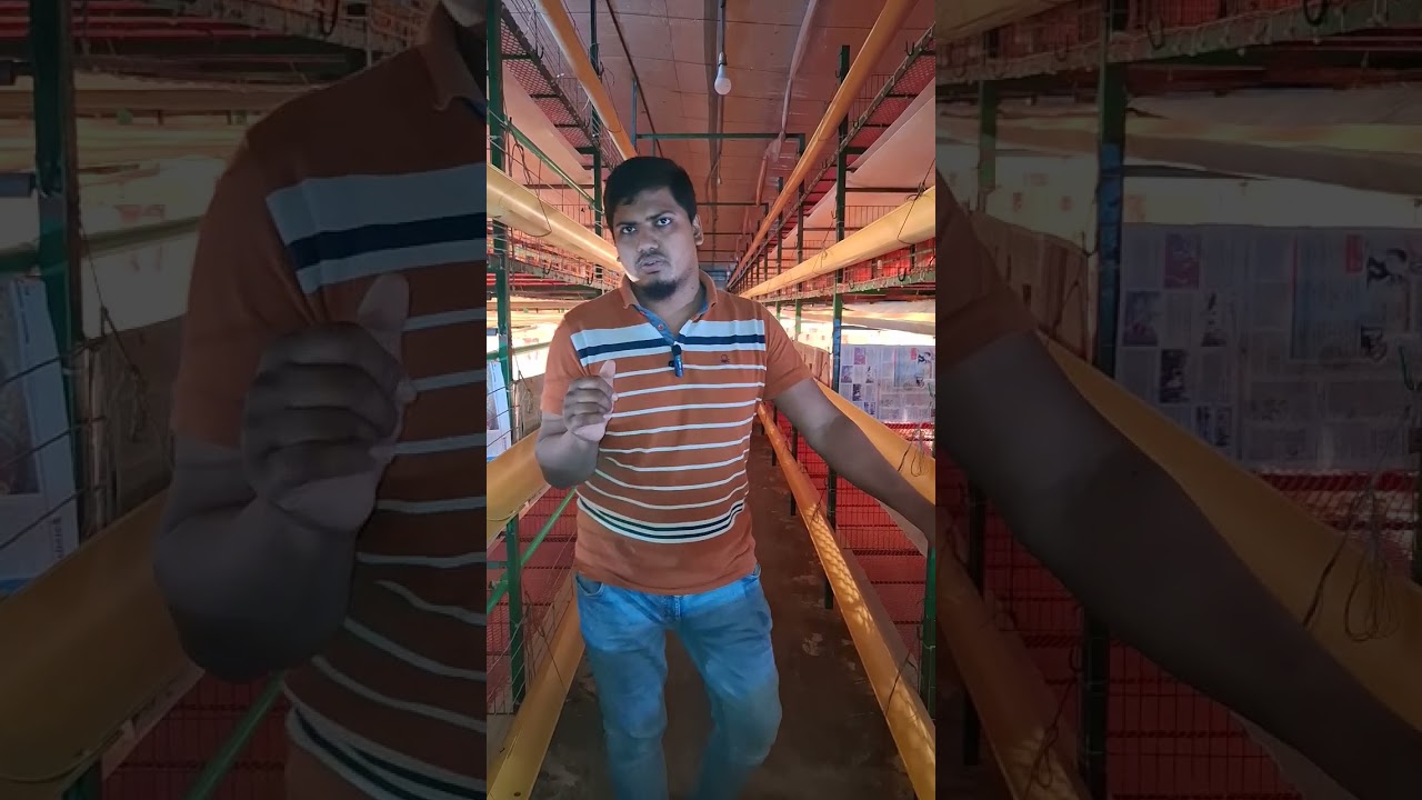 সম্পূর্ণ ভিডিওটি দেখুন, খুবই গুরুত্বপূর্ণ ইনফরমেশন পাবেন খাঁচার ফার্ম সম্পর্কে যারা জানতে চেয়েছেন