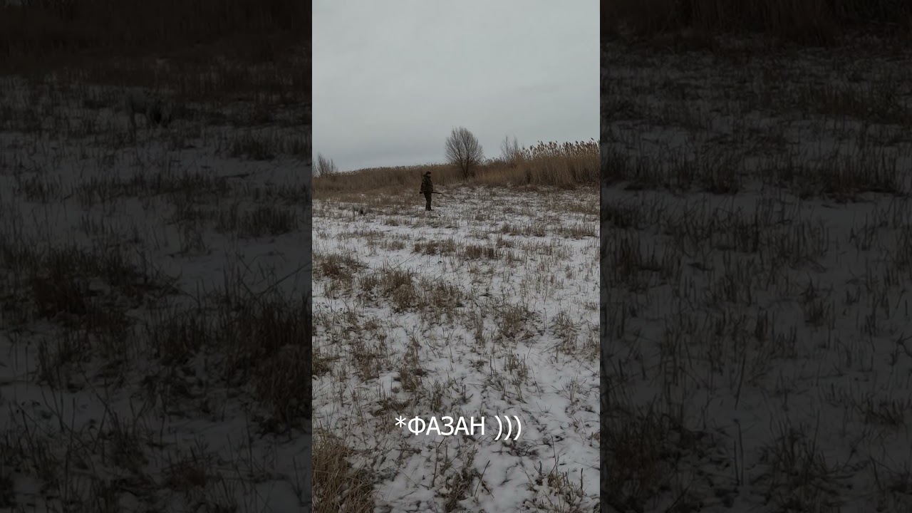 Когда реакция решает всё! ⚡️