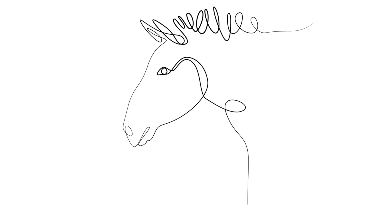 Le Cheval de peine (captation live en duo avec Nicolas Falez, 1998)