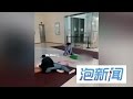 父母大意  一对孩子商场四楼坠下跌死