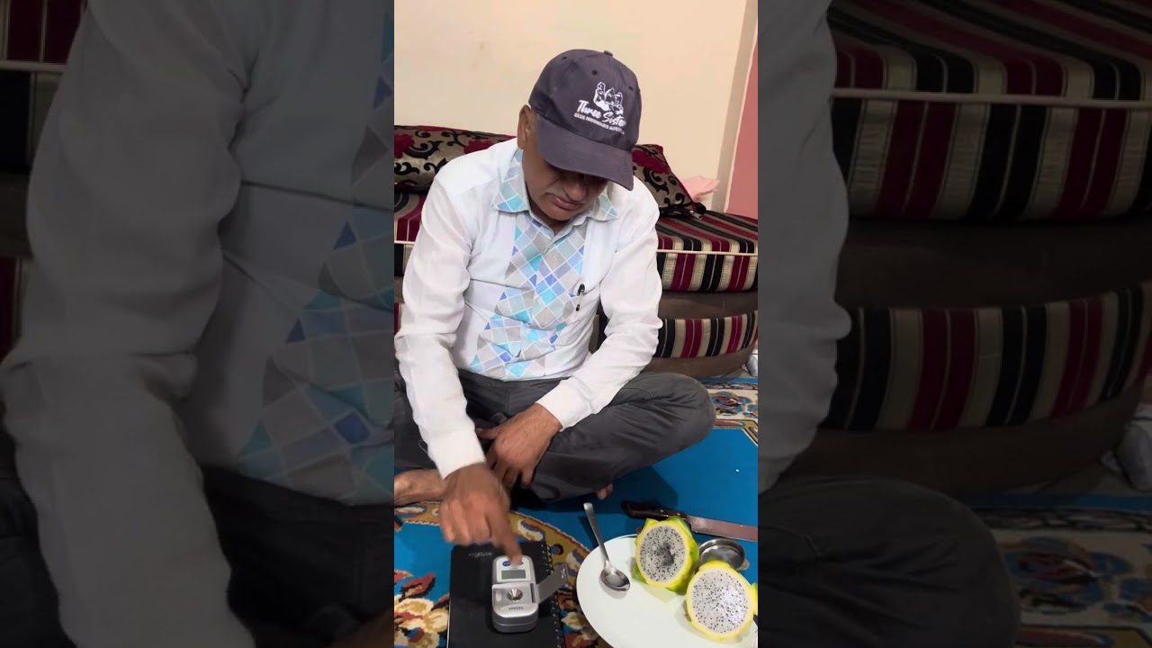 Brix Score | ISIS Variety | Yellow Dragon Fruit |Hemja Pokhara | 9856022121