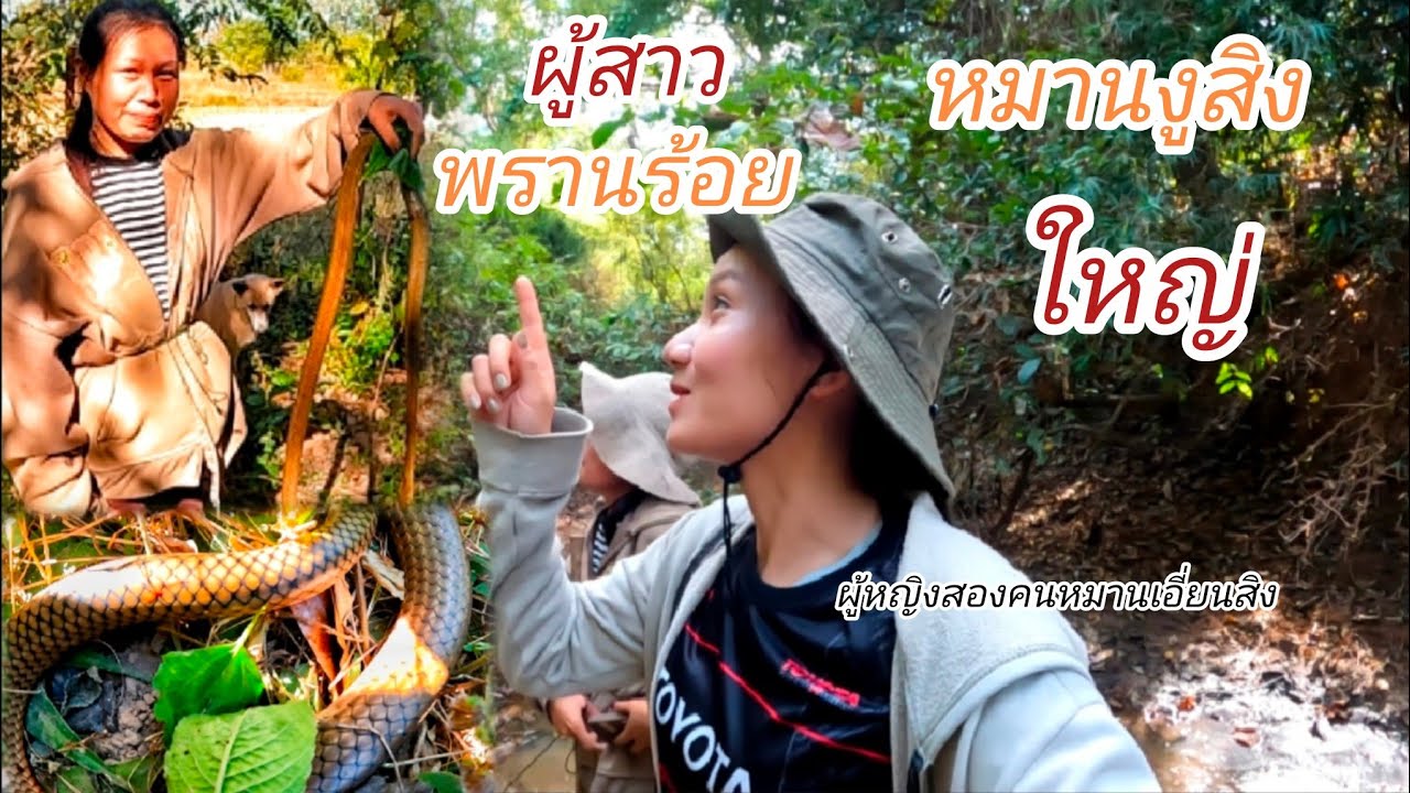 ไปหาเขียดแต่หมานงูสิง 14 ธันวาคม ค.ศ. 2025